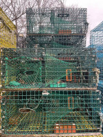 (130) Lobster traps- will sell in lots of 20