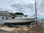 22ft Pursuit tiara walk around