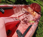 Wilderness Systems Tarpon 160 16' Kayak