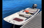 Classic Boston Whaler 13