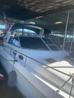 Searay Sundancer 310
