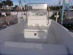 2002 Sea Pro 17'