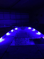 Custom Built Jon Boat