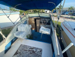 1980 Sea Ray 225 - FREE - MUST GO!