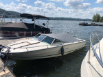 Sea Ray boat