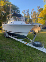 1996 Shamrock 22.3