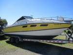 1979 Wellcraft 255 Sun Cruiser