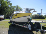 1979 Wellcraft 255 Sun Cruiser