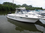 1996 Bayliner Trophy 2509 W/A
