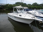 1996 Bayliner Trophy 2509 W/A