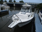 1996 Bayliner Trophy 2509 W/A
