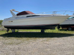1991 Sea Ray 310 Sundancer