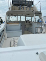 25 Bertram