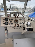 25 Bertram