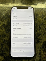 iPhone 12 Pro unlocked