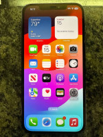 iPhone 12 Pro Max unlocked