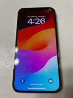 iPhone 12 Pro Max 256GB