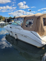 1997 Sea Ray Sundancer 250 and dual axle trailer