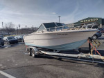 Chaparalle boat 21" w trailer