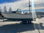Dusky 233 Cuddy, 2009 Evinrude 300