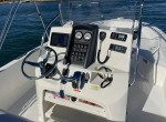Boston Whaler 230 Dauntless with Trailer