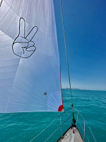 Sailing Partners + Lessons (no experience required) 2024