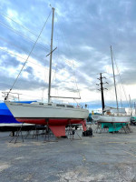 Sailing Partners + Lessons (no experience required) 2024
