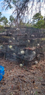 Crab Traps and supplies
