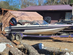Skeeter fish and ski