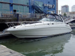 Pristine 360 Searay Sundancer