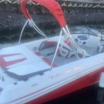 2016 Tahoe TS 500 Boat - Sports - Newly repowered Engine(2023 Merc)