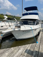 Carver 300