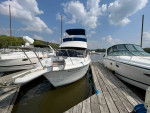 Carver 300