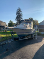 2344 sea sport