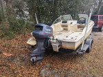 Scout Dorado 172