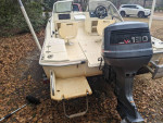 Scout Dorado 172