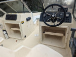 Scout Dorado 172