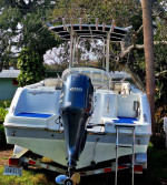 Robalo R222EX