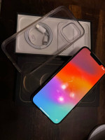 iPhone 12 Pro Max 128 gigs