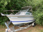 '88 Cruisers Inc. Sea Devil 2510, Honda BF225, fix/restore or part out