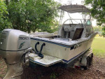 '88 Cruisers Inc. Sea Devil 2510, Honda BF225, fix/restore or part out