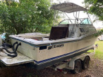 '88 Cruisers Inc. Sea Devil 2510, Honda BF225, fix/restore or part out