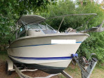 '88 Cruisers Inc. Sea Devil 2510, Honda BF225, fix/restore or part out