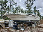 1987 sea ray sundancer