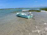 1964 alumacraft
