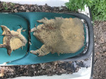 1997 Seadoo GTX jetski PART OUT