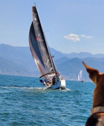 2016 Jeanneau 349 Sailboat