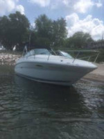 SEA RAY