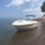 SEA RAY