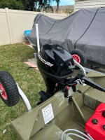 2022 12’ jon boat, 9.9 merc 4 stroke trailer